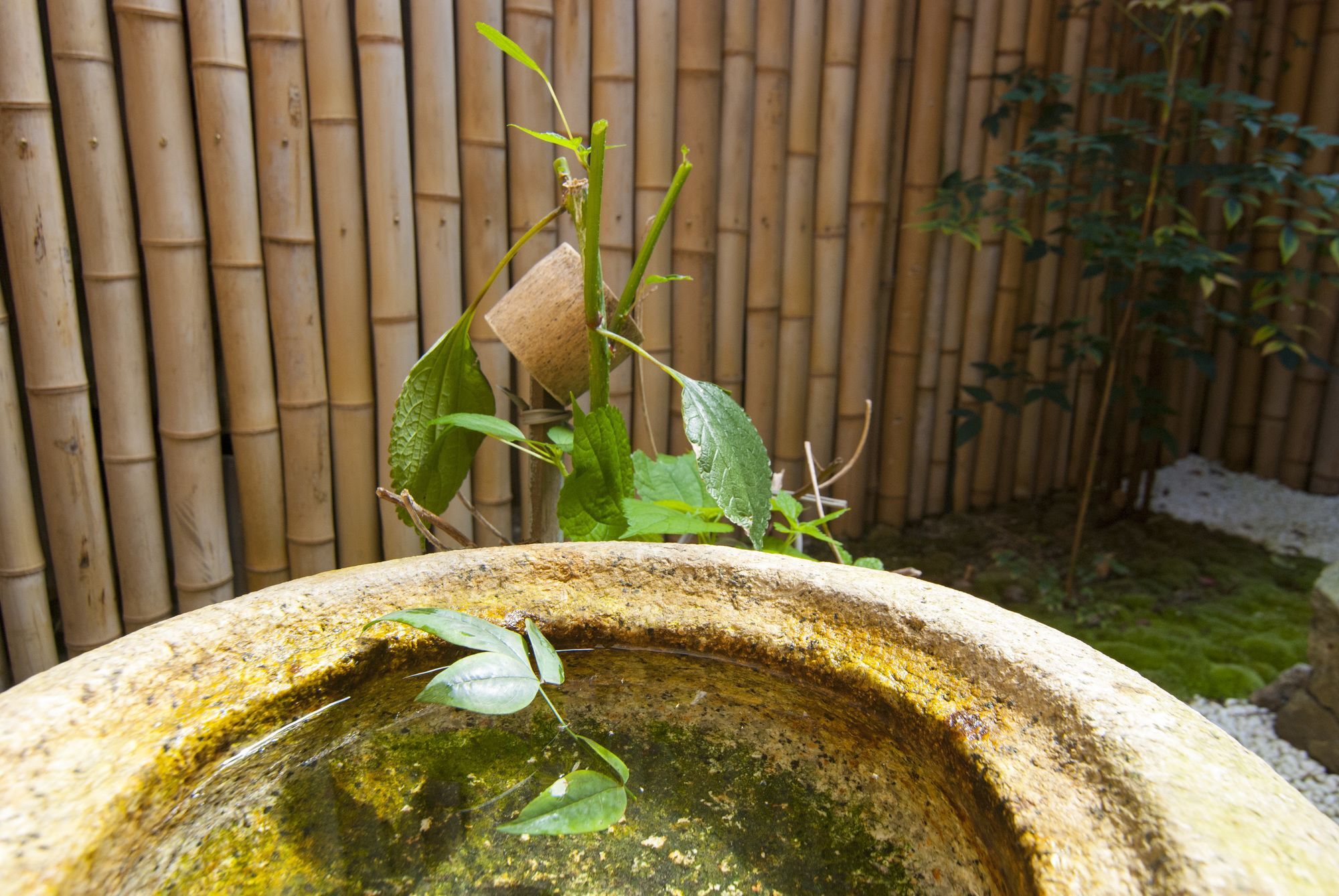 Kyo No Yado Bamboo Town Villa Kyoto Exterior photo